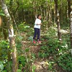 Profile Picture of Lakshmi Iyengar (@trekkerlakshmi) on Instagram