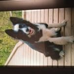 Profile Picture of Dillon Forrest Close (@dillonforrestclose) on Instagram