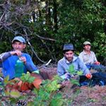 Profile Picture of Richard Rosales Villablanca (@rochardrosales) on Instagram