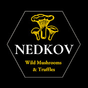 Profile Picture of Nedkov Mushrooms (@wildmushroomltd) on Youtube