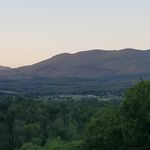 Profile Picture of Alex Stute (@stutealex) on Instagram