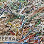 Profile Picture of Nolan Emmett (@strawssuck101) on Instagram