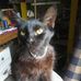Profile Picture of David Winkles (@david.winkles.731) on Facebook