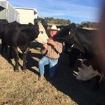 Profile Picture of Brad Meadows (@bradmeadows121) on Instagram