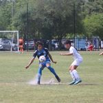 Profile Picture of George Mavris (@george_mavris_) on Instagram