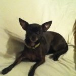 Profile Picture of Ashley Remines (@ashley__4) on Instagram