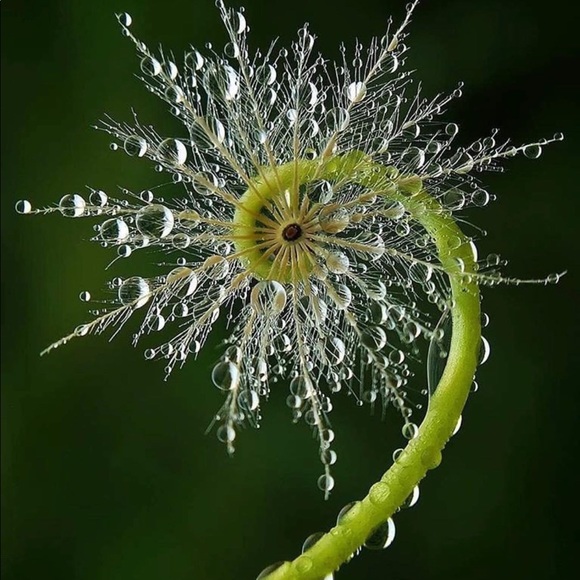 Profile Picture of Barbara Kivlen (@barbandkiv) on Poshmark