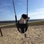 Profile Picture of Zola Knight (@zolasadventure) on Instagram