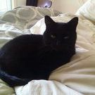 Profile Picture of Gloria Pevehouse LaFerney (@davidgloria) on Pinterest