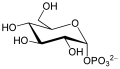 Profile Picture of Glucose 1-phosphateon Wikipedia