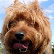 Profile Picture of Chuck Wade (@chuckwade7642) on Youtube