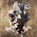 Profile Picture of Tarek David (@tarekdavid1967) on Pinterest