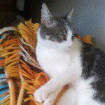 Profile Picture of vicky marshall (@vicky.marshall) on Instagram