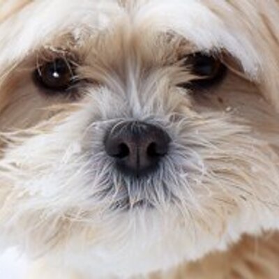 Profile Picture of Ben Yuan (@byuan) on Twitter