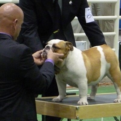 Profile Picture of Leo Serna (@leoserna2) on Twitter