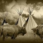 Bob Powell - Instagram Profile Picture of Bob Powell (@buffaloalien) on Instagram