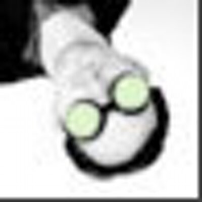 Profile Picture of Cool Max Shirley (@CoolMaxShirley) on Twitter