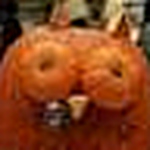 Profile Picture of funkypumpkin (@funkypumpkin) on Flickr