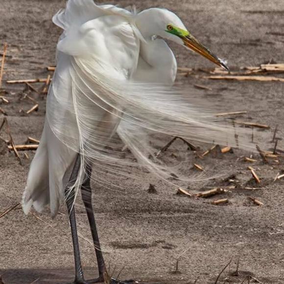 Profile Picture of Karen Dombroski (@karendombroski) on Poshmark