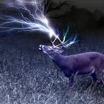 Profile Picture of Joseph Chesla Jr. (@jondular124) on Instagram