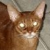 Profile Picture of Joyce Fulcher Gaskins (@joyce.f.gaskins) on Facebook