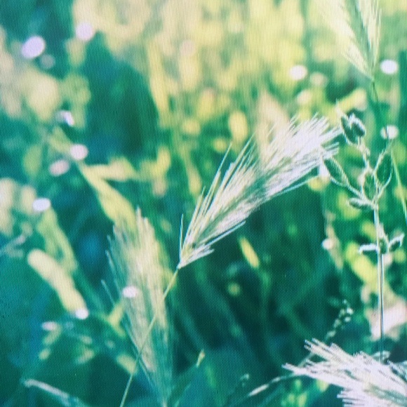 Profile Picture of Raymond Yang (@raymondyang341) on Poshmark