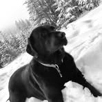 Profile Picture of Devin Mock (@devin.mock.71) on Facebook