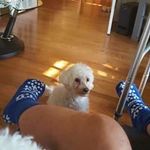 Profile Picture of David Kover (@david.kover) on Instagram