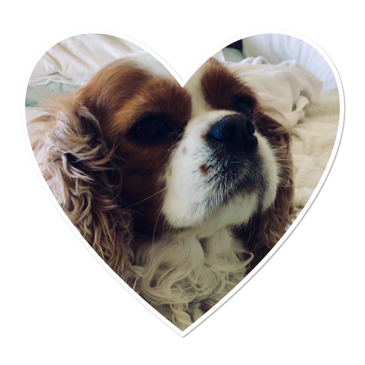 Profile Picture of david (@pippa120770) on Tiktok