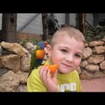 Profile Picture of Thomas Binet (@toto_24_04) on Instagram