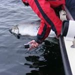 Frank Fezza - Instagram Profile Picture of Frank Fezza (@frankfezza) on Instagram