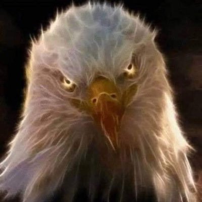 Profile Picture of Steve S. Cone (@Nay_Anon) on Twitter