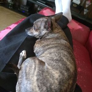 Profile Picture of Robert Pigford (@RobertPigford4) on Twitter