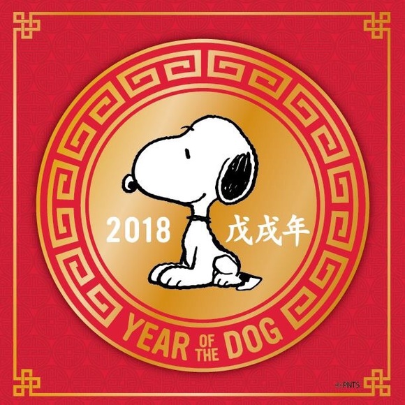 Profile Picture of Viviana Cordero (@babyvivi03) on Poshmark