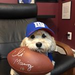 Profile Picture of Phyllis Mandelbaum (@mandelbaum.phyllis) on Instagram