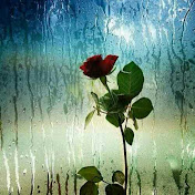 Profile Picture of Alireza Alizadeh (@AlirezaAlizadeh-tf9rq) on Youtube