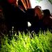 Profile Picture of Claribel Gonzalez (@claribelll) on Pinterest