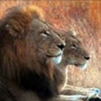 Profile Picture of Mario Cotto (@mario-cotto-2) on Quora