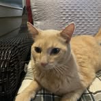 Profile Picture of Jim Tagert (@jim.tagert) on Facebook