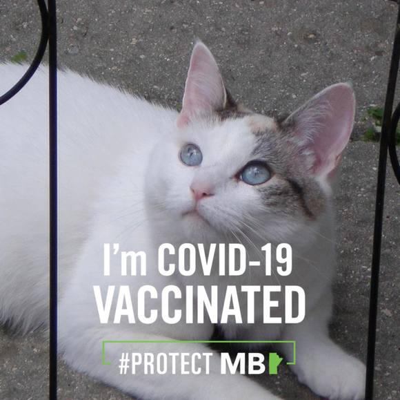 Profile Picture of Lorri Mcinnes (@lorrimci) on Poshmark