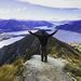 Profile Picture of Thomas Overman (@tcovyc) on Pinterest