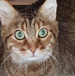 Profile Picture of Simone Huck Jacques (@Simone-Huck-Jacques) on Facebook