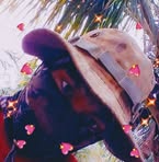 Profile Picture of Sebastián Cosio Zegarra (@sebastian.cosio.zegarra) on Facebook