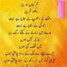 Profile Picture of Ambreen Memon (@ambreen.memon.391) on Facebook