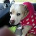 Profile Picture of Mindy Craig (@mindy.craig.330) on Facebook