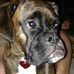 Profile Picture of Stella KronserCurtis (@stella.kronsercurtis) on Facebook