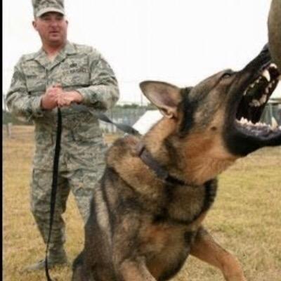 Profile Picture of Mark Marnell (@Sniperfire2) on Twitter