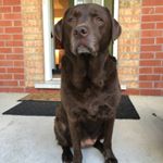 Profile Picture of Mario Fatica (@mariofatica) on Instagram