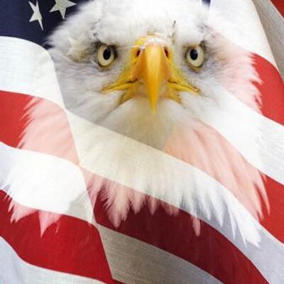 Profile Picture of Richard Trommater (@zapharis) on Twitter