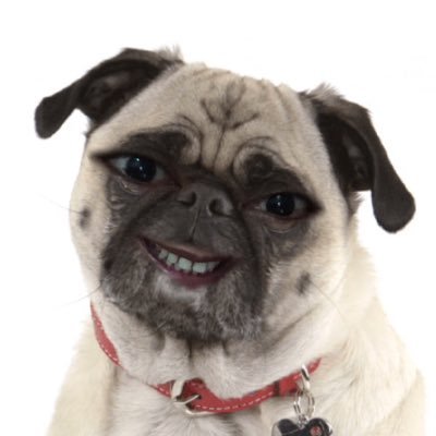 Profile Picture of Paul Brent Mendoza (@PBMndoza) on Twitter